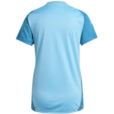 Camisa Flamengo Treino 2025 - (Feminina)