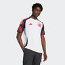 Camisa II CR Flamengo 25